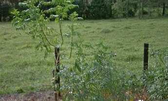 Imagem 3: Oportunidade! Vende-se terreno Residencial Recanto Verde- Califórnia 169,19m