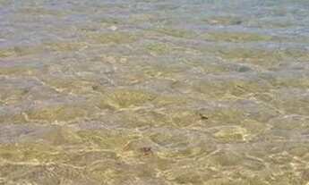 Imagem 5: Aluga-se Casa em JAUÁ