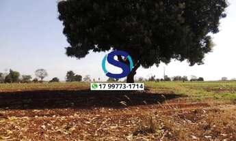 Imagem 4: Vende-se 2 alqueires em Mesópolis, SP