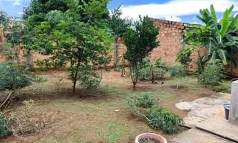 Imagem 6: E - Casa com arbustos