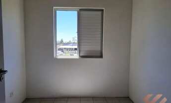 Imagem 4: PELOTAS - Padrão - Três Vendas