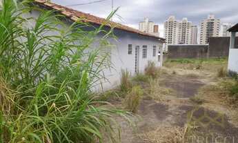 Imagem 4: Terreno - Chácara Primavera - Campinas