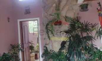 Imagem 5: Linda Casa no Horto Florestal