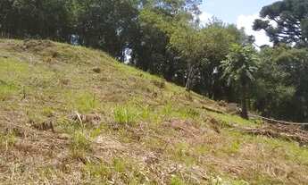 Imagem 7: Troca Chácara Marmeleiro prox Sta Felic., 2.456m², Pesque Pague Fanho,casa 75m², internet