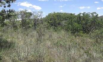 Imagem 6: Terreno 15ha com mata nativa, Serra do Cipó (Temos varias opções)