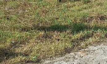 Imagem 2: Vendo terrenos no loteamento vale verde etapa 01 na palhoça SC