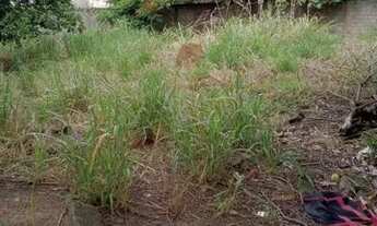 Imagem 2: Terreno - Parque Via Norte - Campinas