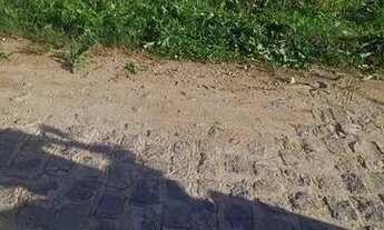 Imagem: Repasse de lote