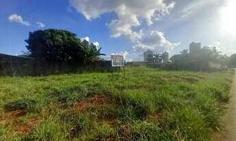 Imagem 4: Área Parque Amazônia