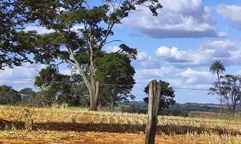 Imagem 2: Fazenda de 14 alqueires em Trindade-GO