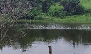 Imagem 7: Fazenda em Goiás velho