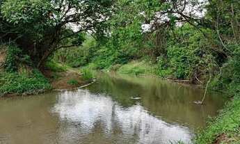 Imagem 5: Chácara 5 mil m2 com água no fundo em Avelinópolis GO a 100 km de Goiânia
