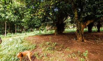 Imagem 6: Vendo 15 hectares de terra dentro da expansão urbana de Goiânia