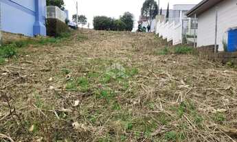 Imagem 5: Terreno Bairro Santa Catarina