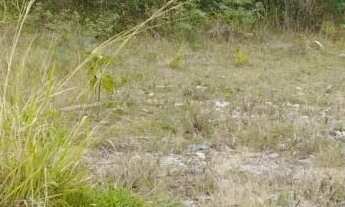 Imagem 2: Terreno em Vila Pirituba, São Paulo/SP