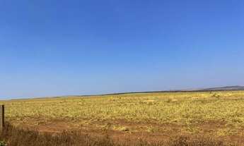 Imagem 3: Fazenda de arrendamento