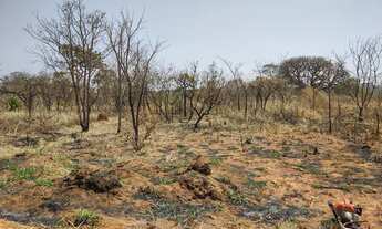 Imagem 2: Lote Ponte Alta Norte