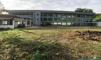 Imagem 3: GALPÃO - JARDIM REGINA ALICE - SP