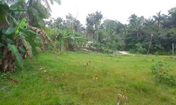 Imagem 4: Vende se terreno medindo 100x150m