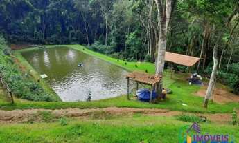 Imagem 7: CHACARA - PORTÃO - SP
