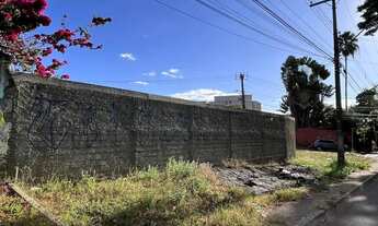 Imagem 5: Lote Jardim America 675m²