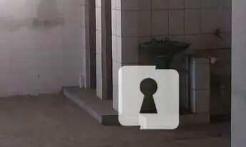 Imagem 3: Galpão para alugar, 707 m² - Freguesia do Ó - São Paulo/SP