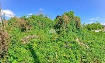 Imagem 4: Imóvel para venda tem 380 metros quadrados em Pilarzinho - Curitiba - PR