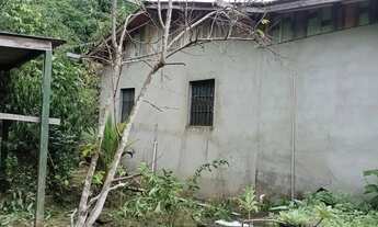 Imagem 3: Vendo Otimo Sitio