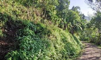 Imagem 4: Sítio / Chácara para Venda em Picada Café, Serra Verde