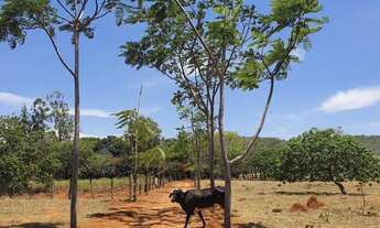 Imagem 4: Excelente Fazenda de 29 Hectares no Córrego do meio em Planaltina df