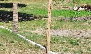 Imagem 7: Terreno na praia de Tabuba a 50m do mar