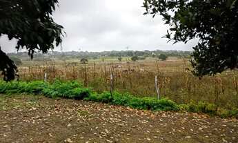 Imagem 6: Fazenda Canaã Completa - 21 Tarefas - Aceito Trocas