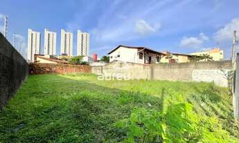 Imagem 2: Terreno em Capim Macio