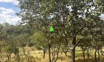 Imagem 2: Excelente lote com 525 m²