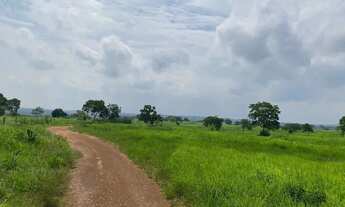 Imagem 4: Sítio em Nossa Senhora do Livramento à venda