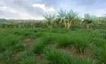 Imagem 6: Fazenda a venda, em Cocalzinho de Goias!!!