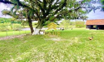 Imagem 7: CAUE IMOVEIS VENDE ÚNICA!!! Chácara 3,5hectares c/ lago e figueiras centenárias em frente