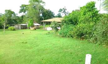 Imagem 5: Vendo Faz de 42 alqueires Porangatu