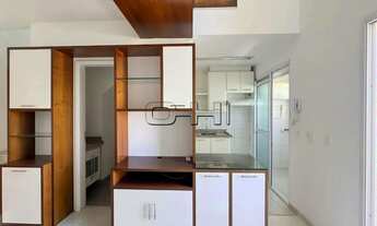 Imagem 5: Aluguel Apartamento 1 Dormitórios - 45 m² Paraíso