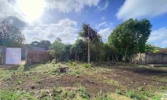 Imagem 4: Terreno em Morros Ma