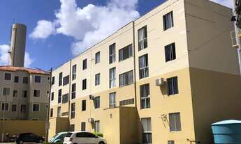 Imagem 7: Excelente Oportunidade