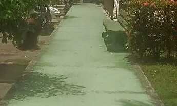 Imagem 3: ALUGO APARTAMENTO RESIDÊNCIAL PARQUE DAS GALÊS