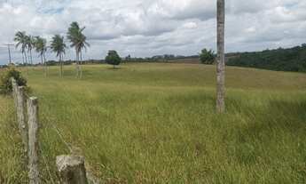 Imagem: 380 ta. Br 101/ Lage -Ba