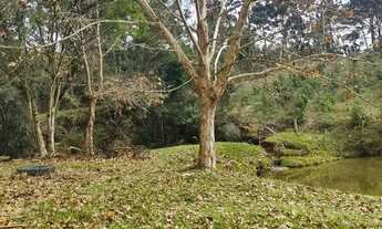 Imagem 2: Oportunidade Única: Área Produtiva e de Lazer no Tarumã Agudos do Sul