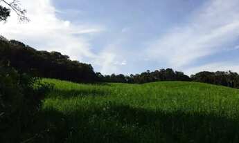 Imagem 3: Imóvel para venda com 21754 metros quadrados em Área Rural de Araucária - Araucária - PR