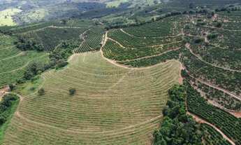 Imagem 5: CAFÉ PRODUÇÃO E QUALIDADE