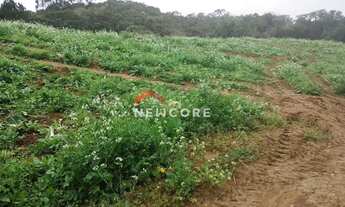 Imagem 3: Chácara em Rua Campestre - Colônia Murici - São José dos Pinhais/PR