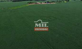 Imagem 3: Fazenda 50 alqueires (242 hectares) Pontalina - Go