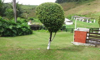 Imagem: Fazenda com 31hc no Cabo a 500m da BR-101