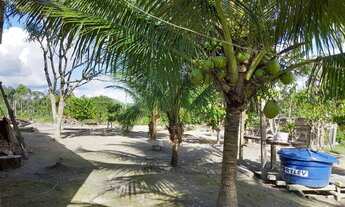 Imagem 3: Sitio Rio Preto da Eva km 91